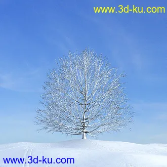 冬天树木模型,雪地,枯木,光秃秃的树,树干,树枝,冬天场景,冬季植物模型合集的图片6