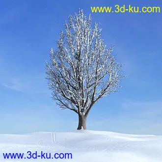 冬天树木模型,雪地,枯木,光秃秃的树,树干,树枝,冬天场景,冬季植物模型合集的图片7