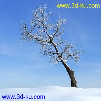 冬天树木模型,雪地,枯木,光秃秃的树,树干,树枝,冬天场景,冬季植物模型合集的图片8