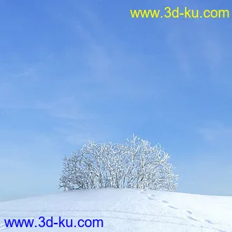 冬天树木模型,雪地,枯木,光秃秃的树,树干,树枝,冬天场景,冬季植物模型合集的图片9