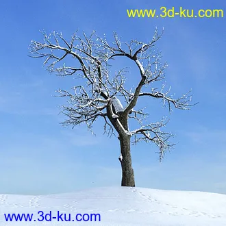 冬天树木模型,雪地,枯木,光秃秃的树,树干,树枝,冬天场景,冬季植物模型合集的图片11