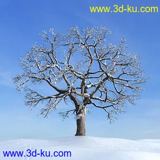 冬天树木模型,雪地,枯木,光秃秃的树,树干,树枝,冬天场景,冬季植物模型合集的图片12