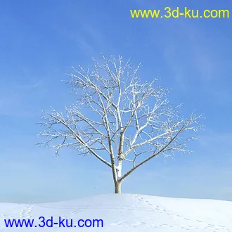 冬天树木模型,雪地,枯木,光秃秃的树,树干,树枝,冬天场景,冬季植物模型合集的图片13