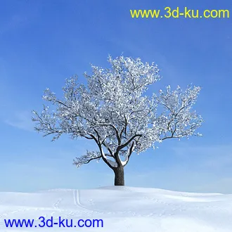 冬天树木模型,雪地,枯木,光秃秃的树,树干,树枝,冬天场景,冬季植物模型合集的图片16