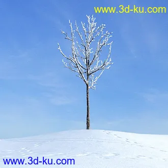 冬天树木模型,雪地,枯木,光秃秃的树,树干,树枝,冬天场景,冬季植物模型合集的图片17