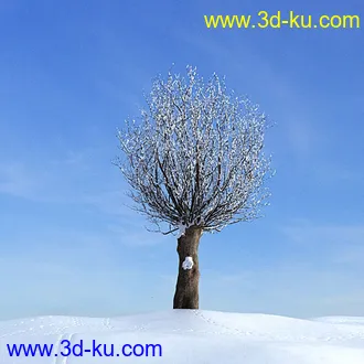 冬天树木模型,雪地,枯木,光秃秃的树,树干,树枝,冬天场景,冬季植物模型合集的图片18