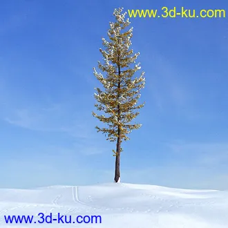 冬天树木模型,雪地,枯木,光秃秃的树,树干,树枝,冬天场景,冬季植物模型合集的图片19