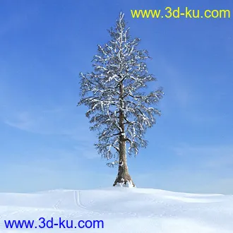 冬天树木模型,雪地,枯木,光秃秃的树,树干,树枝,冬天场景,冬季植物模型合集的图片21