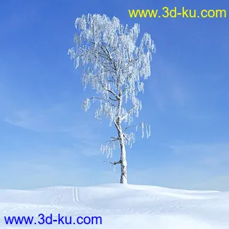 冬天树木模型,雪地,枯木,光秃秃的树,树干,树枝,冬天场景,冬季植物模型合集的图片23