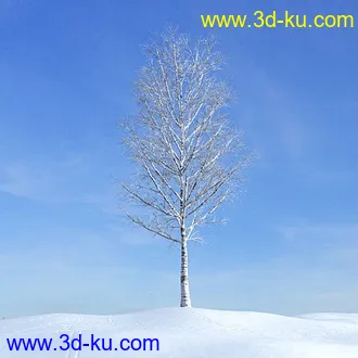 冬天树木模型,雪地,枯木,光秃秃的树,树干,树枝,冬天场景,冬季植物模型合集的图片25