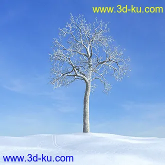 冬天树木模型,雪地,枯木,光秃秃的树,树干,树枝,冬天场景,冬季植物模型合集的图片26