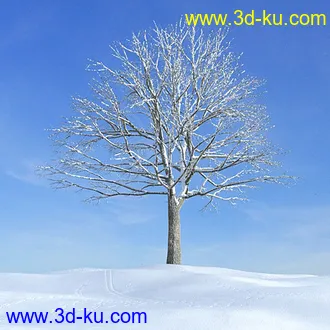 冬天树木模型,雪地,枯木,光秃秃的树,树干,树枝,冬天场景,冬季植物模型合集的图片27