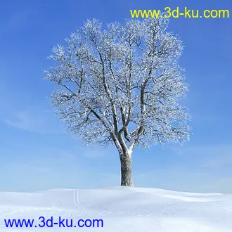 冬天树木模型,雪地,枯木,光秃秃的树,树干,树枝,冬天场景,冬季植物模型合集的图片28