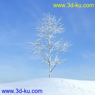 冬天树木模型,雪地,枯木,光秃秃的树,树干,树枝,冬天场景,冬季植物模型合集的图片29