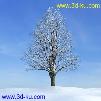 冬天树木模型,雪地,枯木,光秃秃的树,树干,树枝,冬天场景,冬季植物模型合集的图片30