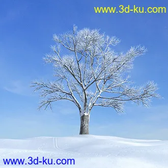 冬天树木模型,雪地,枯木,光秃秃的树,树干,树枝,冬天场景,冬季植物模型合集的图片32