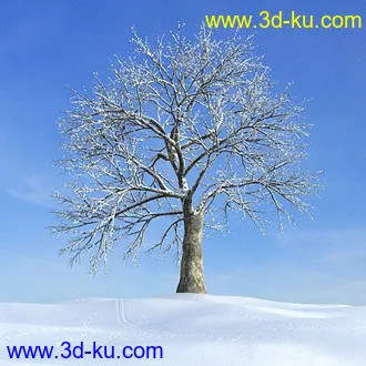 冬天树木模型,雪地,枯木,光秃秃的树,树干,树枝,冬天场景,冬季植物模型合集的图片33