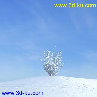 冬天树木模型,雪地,枯木,光秃秃的树,树干,树枝,冬天场景,冬季植物模型合集的图片34