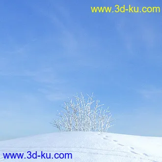 冬天树木模型,雪地,枯木,光秃秃的树,树干,树枝,冬天场景,冬季植物模型合集的图片35