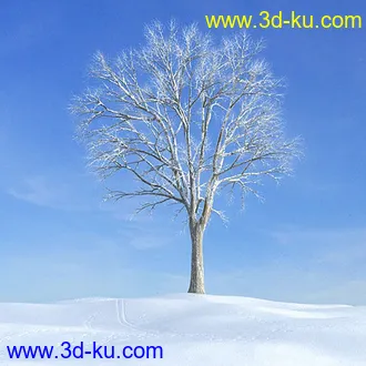 冬天树木模型,雪地,枯木,光秃秃的树,树干,树枝,冬天场景,冬季植物模型合集的图片36