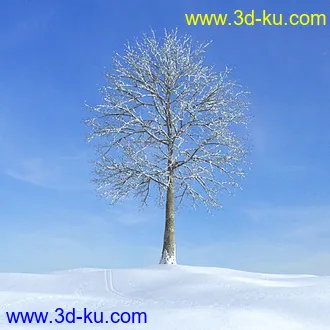 冬天树木模型,雪地,枯木,光秃秃的树,树干,树枝,冬天场景,冬季植物模型合集的图片38