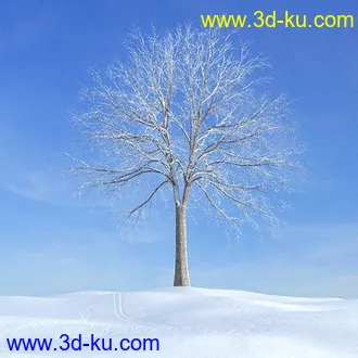 冬天树木模型,雪地,枯木,光秃秃的树,树干,树枝,冬天场景,冬季植物模型合集的图片39