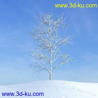 冬天树木模型,雪地,枯木,光秃秃的树,树干,树枝,冬天场景,冬季植物模型合集的图片40