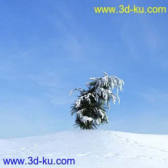 冬天树木模型,雪地,枯木,光秃秃的树,树干,树枝,冬天场景,冬季植物模型合集的图片