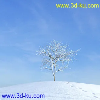 冬天树木模型,雪地,枯木,光秃秃的树,树干,树枝,冬天场景,冬季植物模型合集的图片