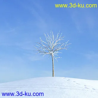 冬天树木模型,雪地,枯木,光秃秃的树,树干,树枝,冬天场景,冬季植物模型合集的图片