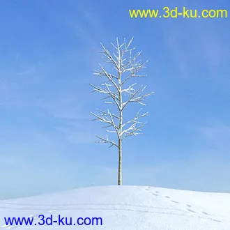 冬天树木模型,雪地,枯木,光秃秃的树,树干,树枝,冬天场景,冬季植物模型合集的图片