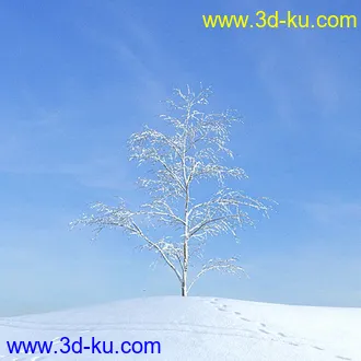 冬天树木模型,雪地,枯木,光秃秃的树,树干,树枝,冬天场景,冬季植物模型合集的图片