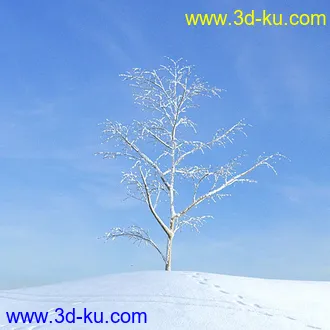 冬天树木模型,雪地,枯木,光秃秃的树,树干,树枝,冬天场景,冬季植物模型合集的图片