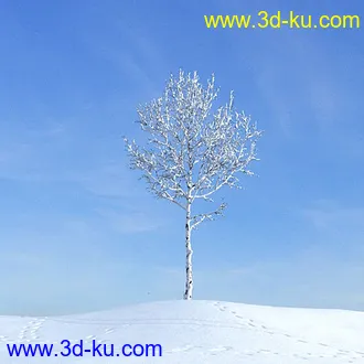 冬天树木模型,雪地,枯木,光秃秃的树,树干,树枝,冬天场景,冬季植物模型合集的图片