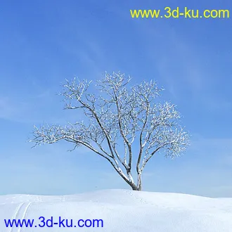 冬天树木模型,雪地,枯木,光秃秃的树,树干,树枝,冬天场景,冬季植物模型合集的图片