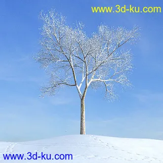 冬天树木模型,雪地,枯木,光秃秃的树,树干,树枝,冬天场景,冬季植物模型合集的图片