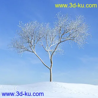 冬天树木模型,雪地,枯木,光秃秃的树,树干,树枝,冬天场景,冬季植物模型合集的图片