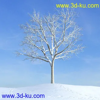 冬天树木模型,雪地,枯木,光秃秃的树,树干,树枝,冬天场景,冬季植物模型合集的图片