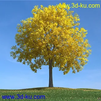 秋天树木模型,黄树叶,落叶,草地,秋天场景,秋季植物模型合集的图片1
