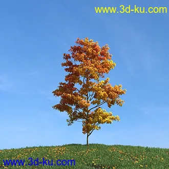 秋天树木模型,黄树叶,落叶,草地,秋天场景,秋季植物模型合集的图片