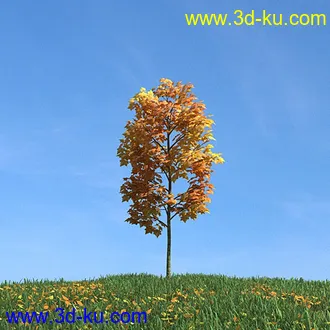 秋天树木模型,黄树叶,落叶,草地,秋天场景,秋季植物模型合集的图片4