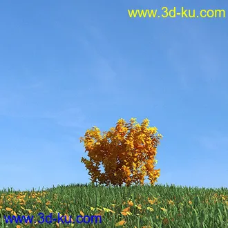 秋天树木模型,黄树叶,落叶,草地,秋天场景,秋季植物模型合集的图片