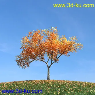 秋天树木模型,黄树叶,落叶,草地,秋天场景,秋季植物模型合集的图片