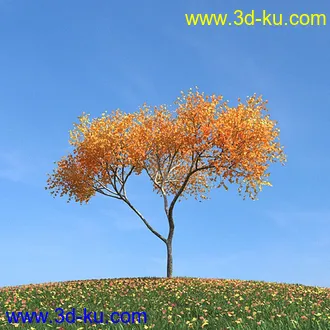 秋天树木模型,黄树叶,落叶,草地,秋天场景,秋季植物模型合集的图片7