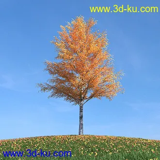 秋天树木模型,黄树叶,落叶,草地,秋天场景,秋季植物模型合集的图片8