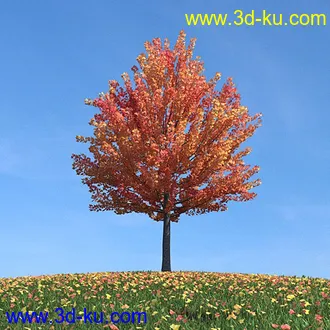 秋天树木模型,黄树叶,落叶,草地,秋天场景,秋季植物模型合集的图片