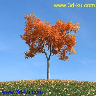 秋天树木模型,黄树叶,落叶,草地,秋天场景,秋季植物模型合集的图片