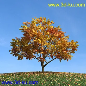 秋天树木模型,黄树叶,落叶,草地,秋天场景,秋季植物模型合集的图片12