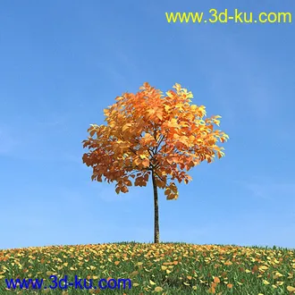 秋天树木模型,黄树叶,落叶,草地,秋天场景,秋季植物模型合集的图片