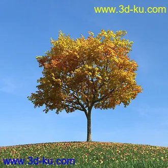 秋天树木模型,黄树叶,落叶,草地,秋天场景,秋季植物模型合集的图片